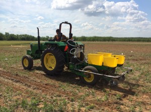 Image taken while planting the Soybean Starter study at Perkins.  A CO2 system was used to deliver starter fertilizers with seed. 